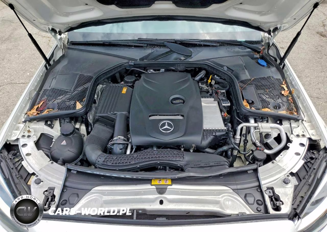 2017 MERCEDES-BENZ C 300 VIN:55SWF4JB9HU198704 - 11