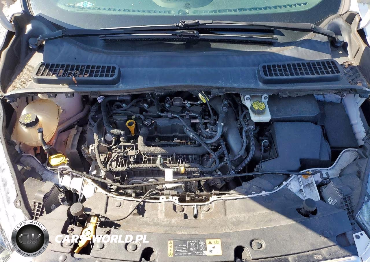 2019 Ford Escape Se VIN:1FMCU0GD2KUA59262 - 12