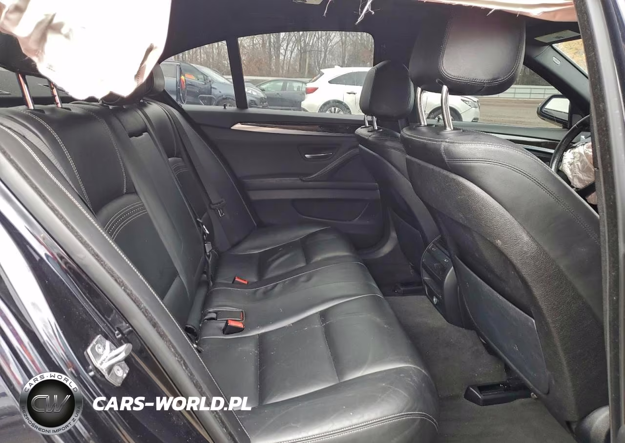 2015 BMW 528 Xi VIN:WBA5A7C50FD628707 - 10