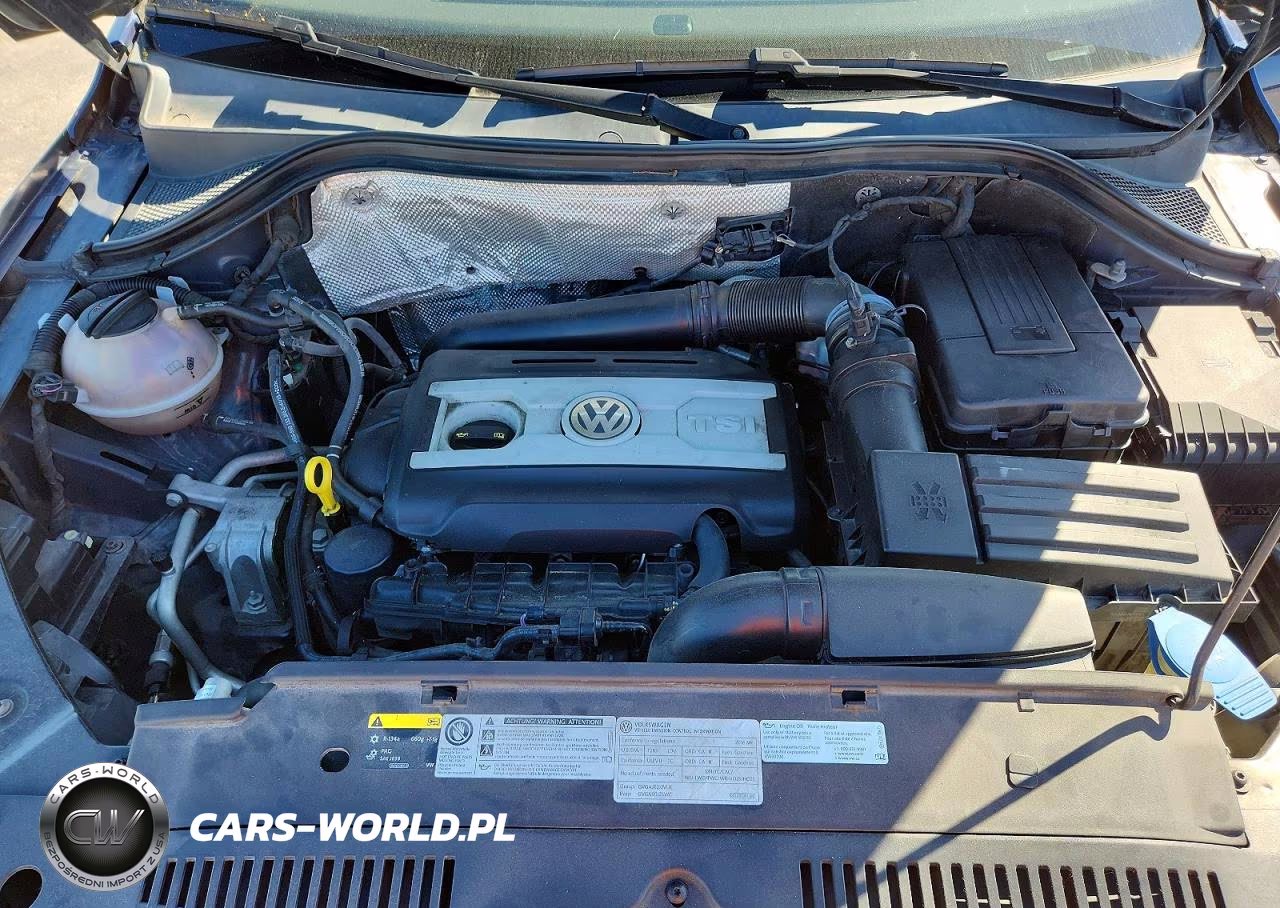 2016 Volkswagen Tiguan S VIN:WVGAV7AX0GW548898 - 12