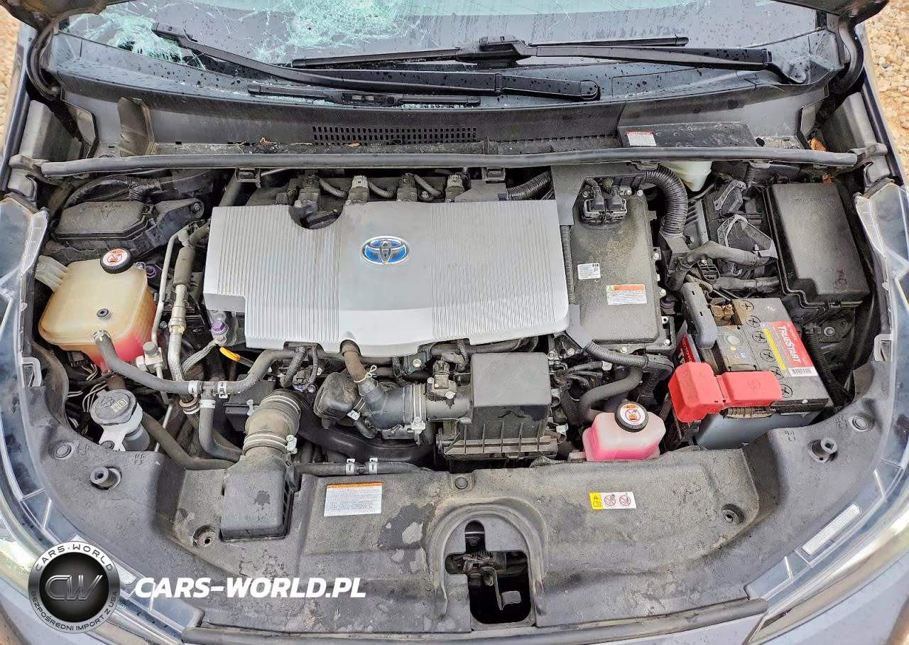 2019 Toyota Prius Xle VIN:JTDKARFU1K3068992 - 11