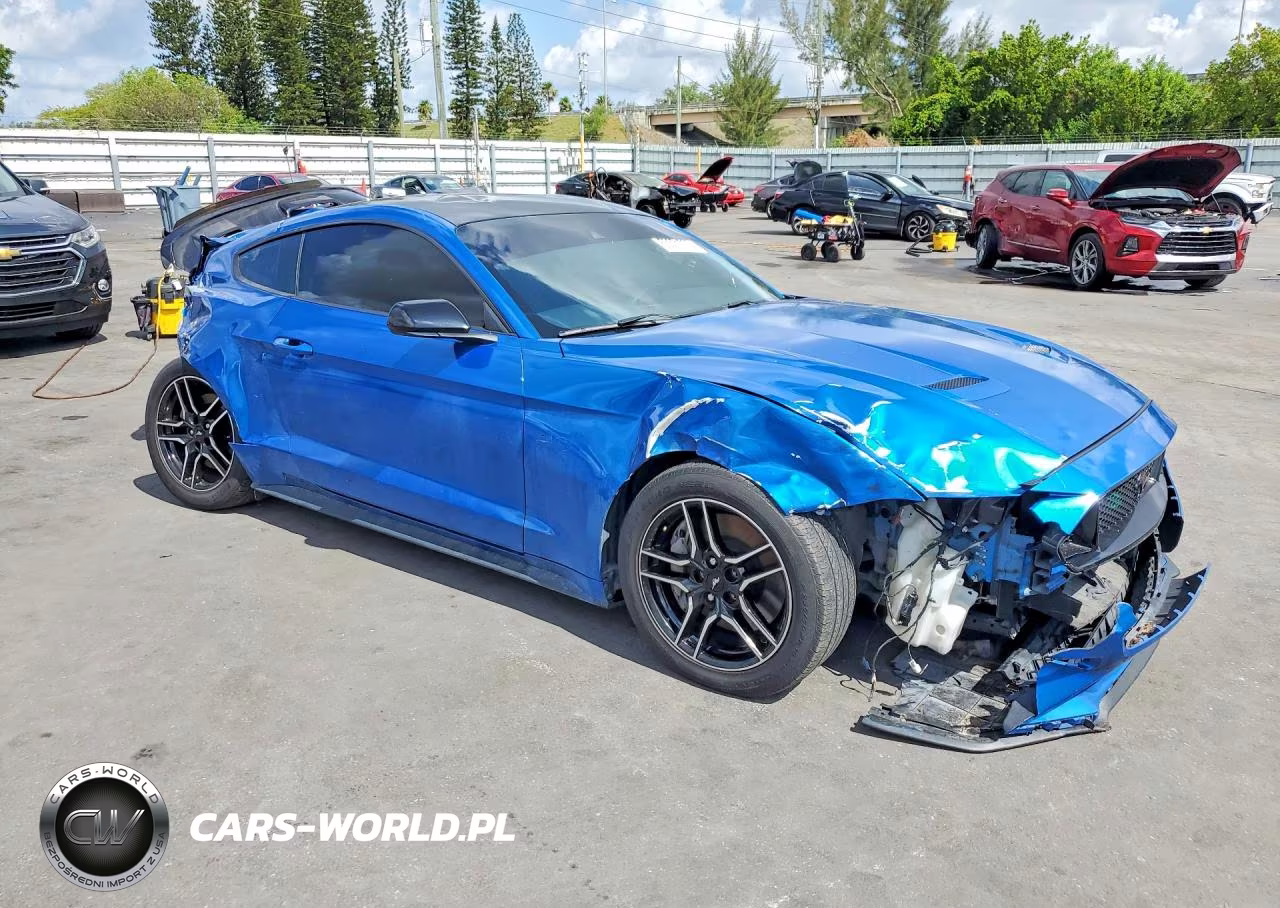 2021 Ford Mustang Gt VIN:1FA6P8CF1M5153313 - 4