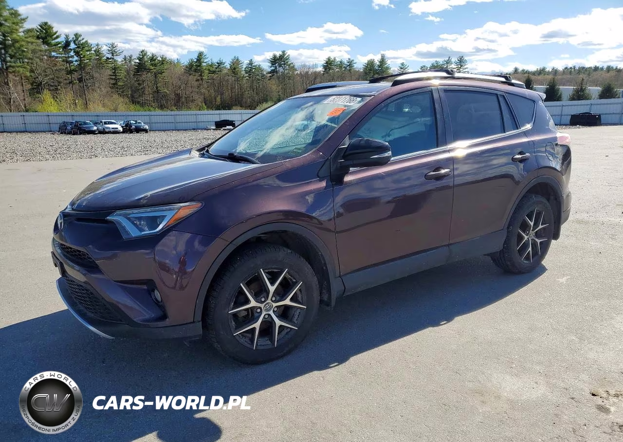 2016 Toyota Rav4 Se