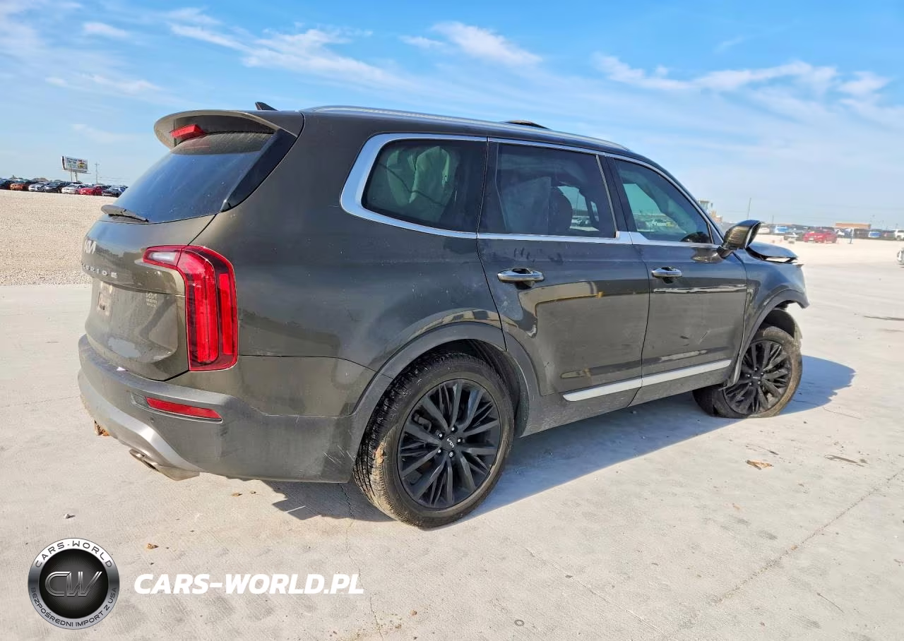2022 Kia Telluride Sx VIN:5XYP54HC1NG203728 - 3