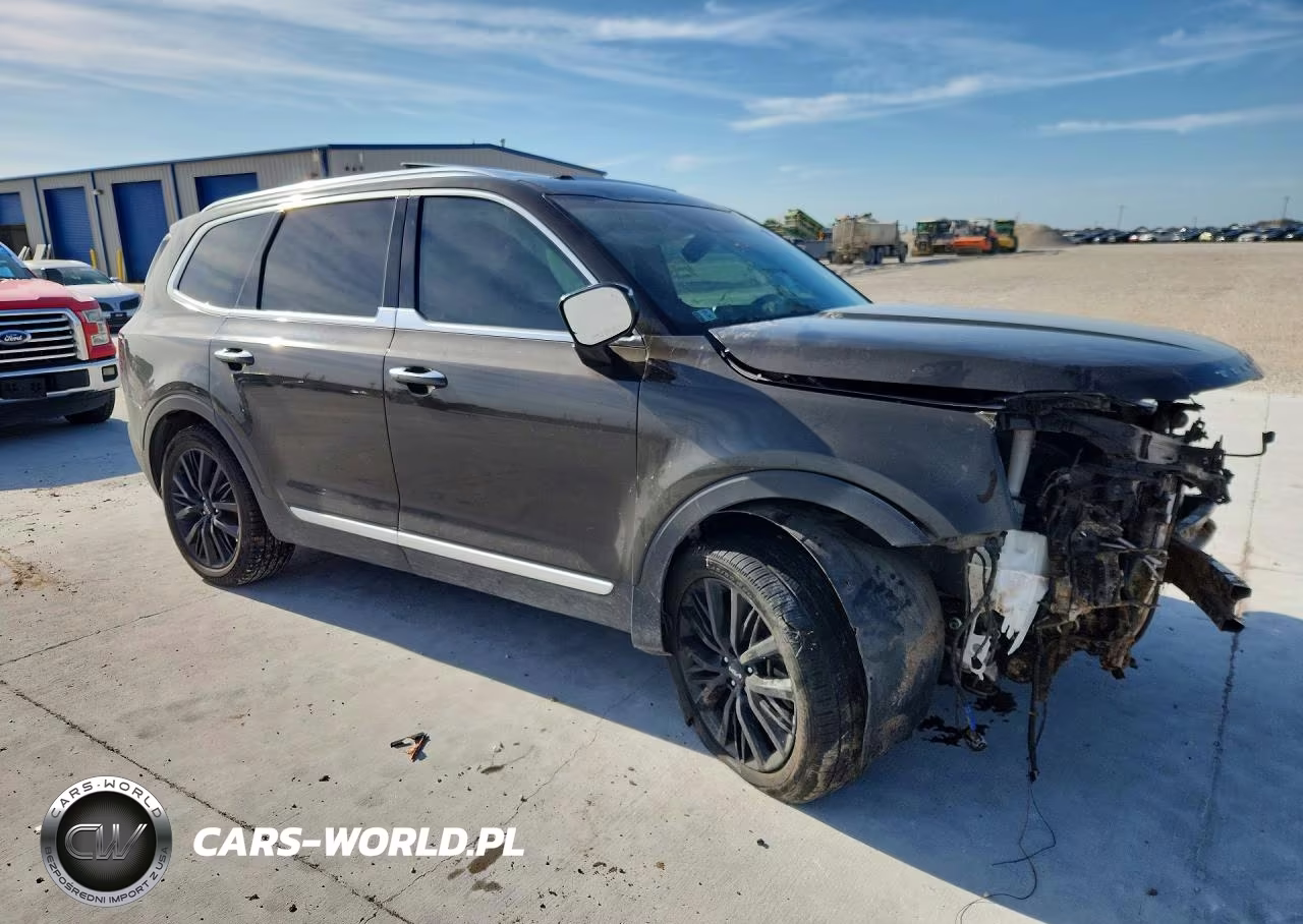 2022 Kia Telluride Sx VIN:5XYP54HC1NG203728 - 4