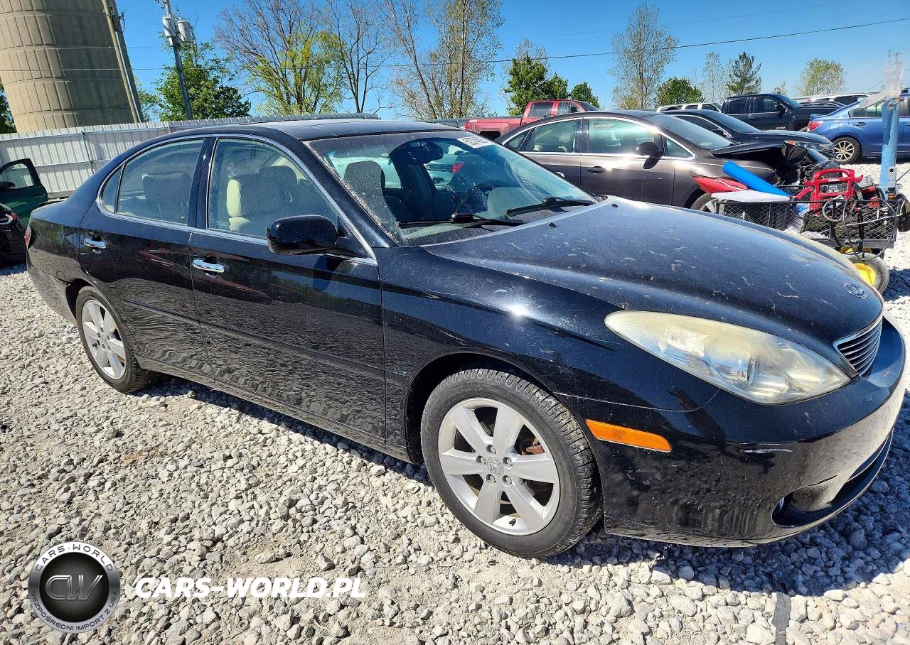 2005 Lexus Es 330 VIN:JTHBA30G755136560 - 4
