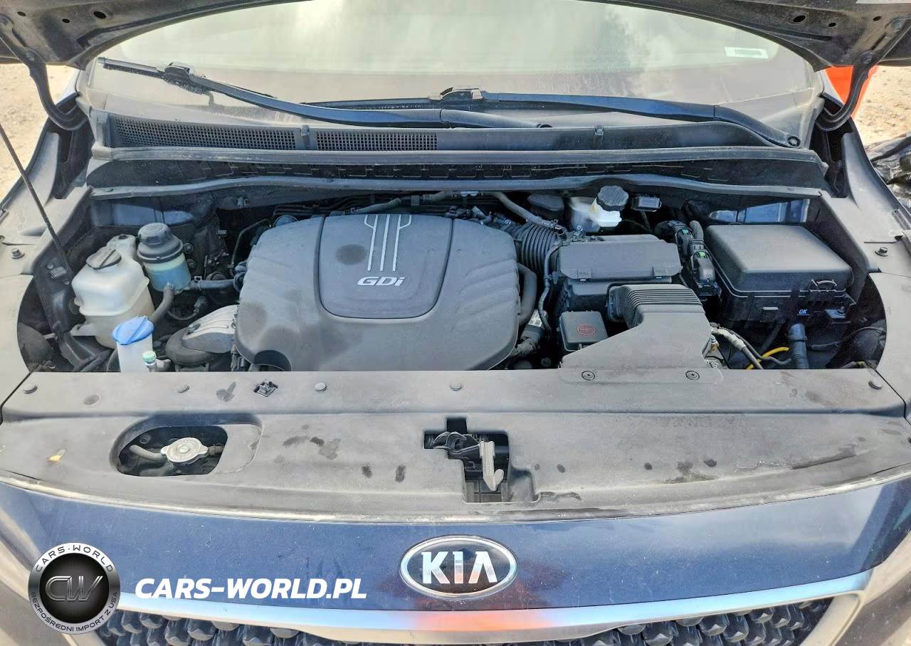 2016 Kia Sedona Lx VIN:KNDMB5C13G6090085 - 12