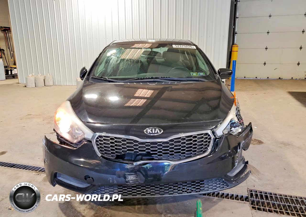 2015 Kia Forte Lx VIN:KNAFK4A64F5408184 - 5