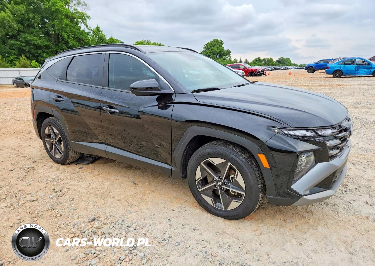 2025 Hyundai Tucson Sel VIN:5NMJB3DE9SH522764 - 4