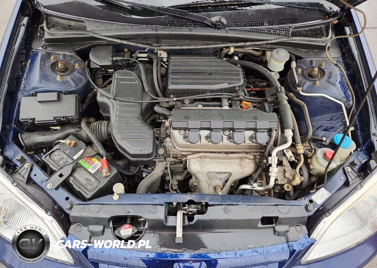 2003 Honda Civic Lx VIN:2HGES16553H553673 - 11