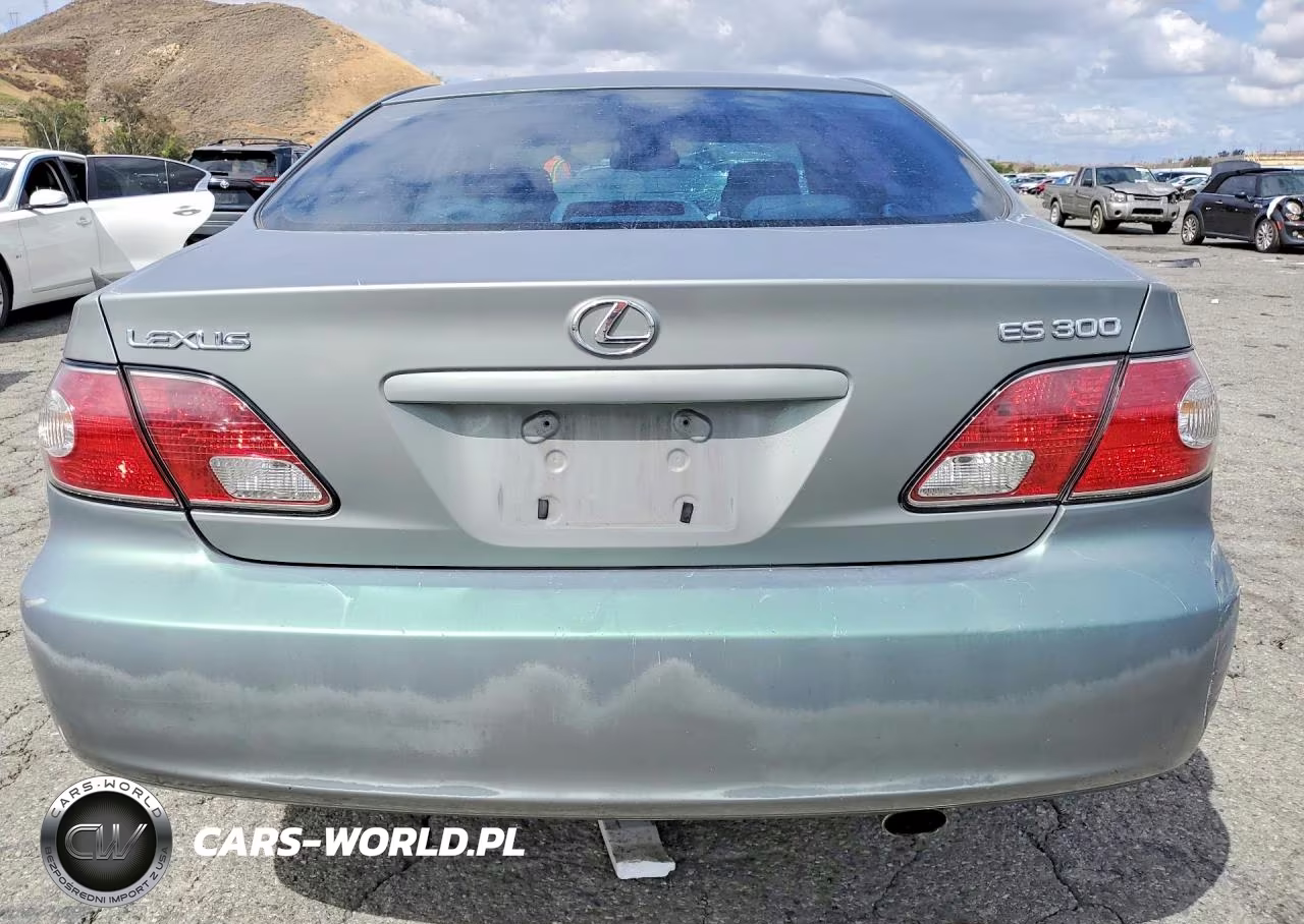 2002 Lexus Es 300 VIN:JTHBF30G920030234 - 6