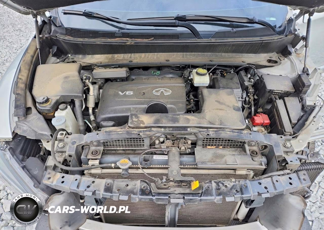 2020 Infiniti Qx60 Pure VIN:5N1DL0MN9LC532540 - 12