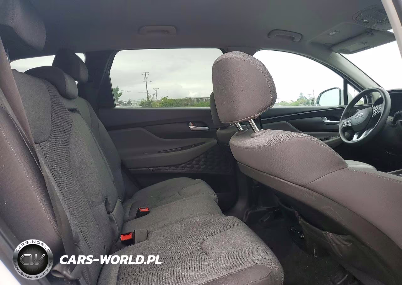 2019 Hyundai Santa Fe Sel 2.4L VIN:5NMS3CAD6KH052237 - 11