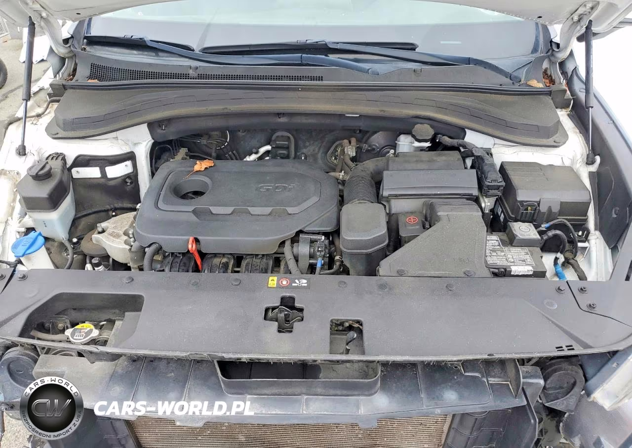 2019 Hyundai Santa Fe Sel 2.4L VIN:5NMS3CAD6KH052237 - 12