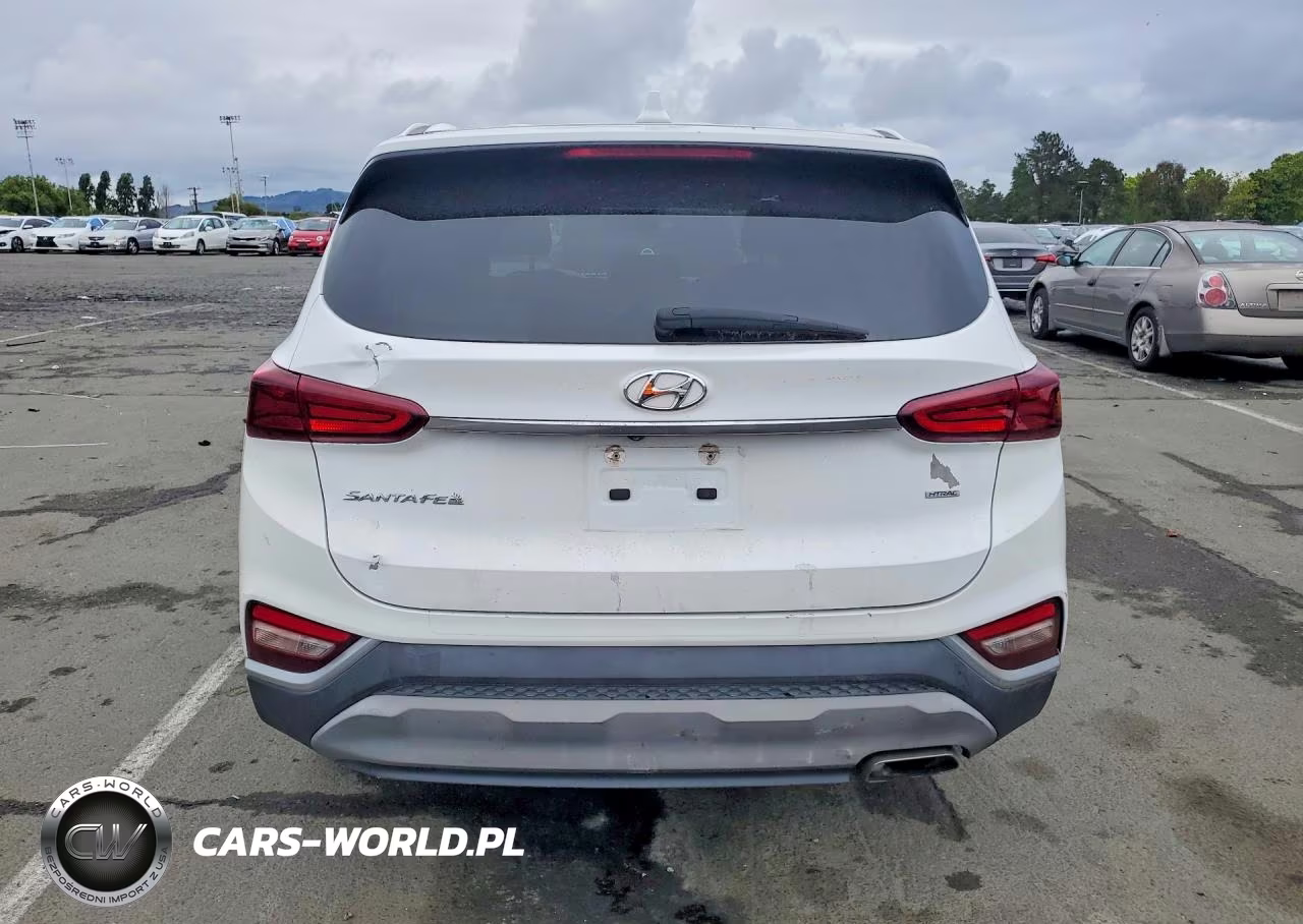 2019 Hyundai Santa Fe Sel 2.4L VIN:5NMS3CAD6KH052237 - 6