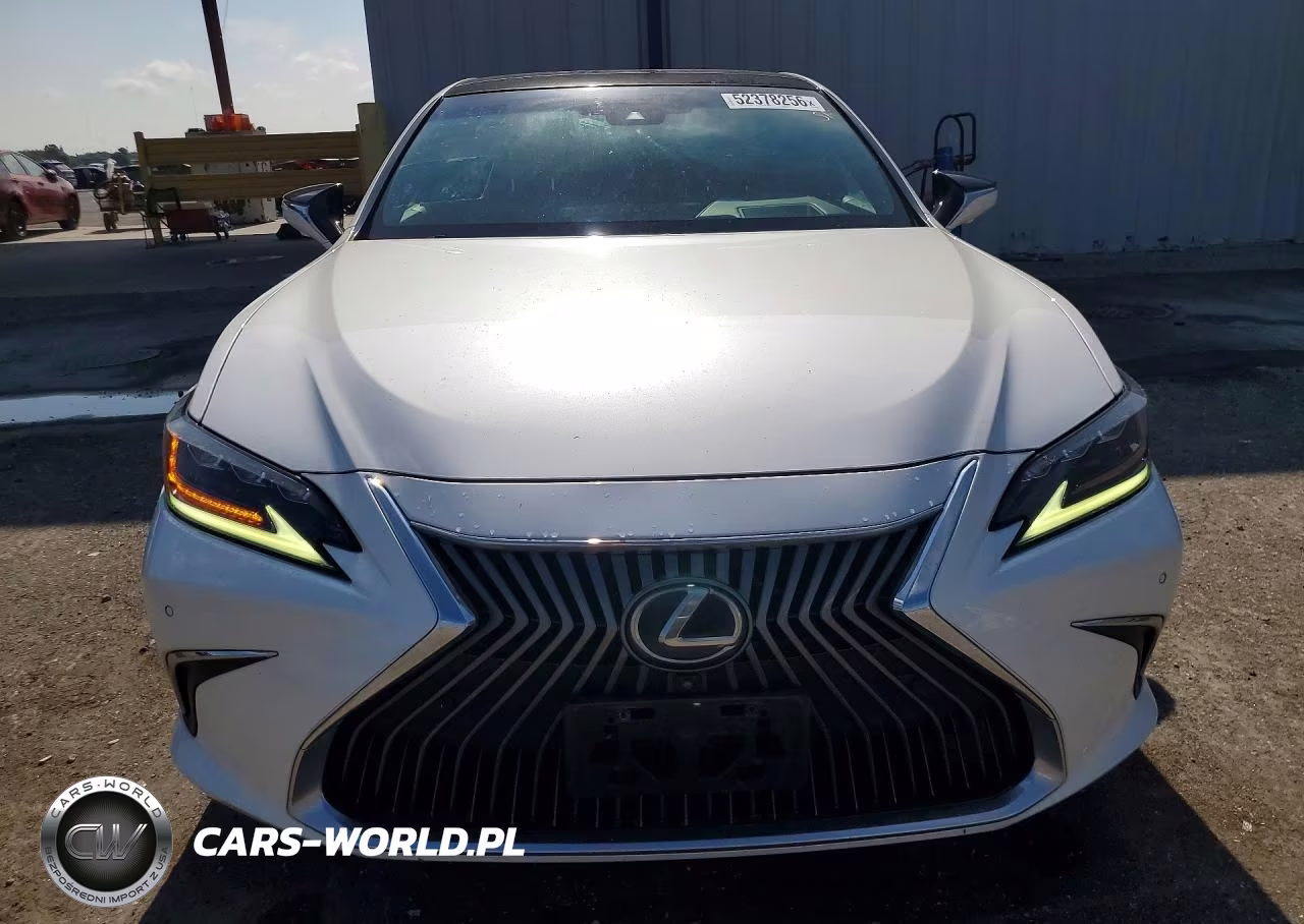 2019 Lexus Es 350 VIN:58ABZ1B15KU029522 - 5