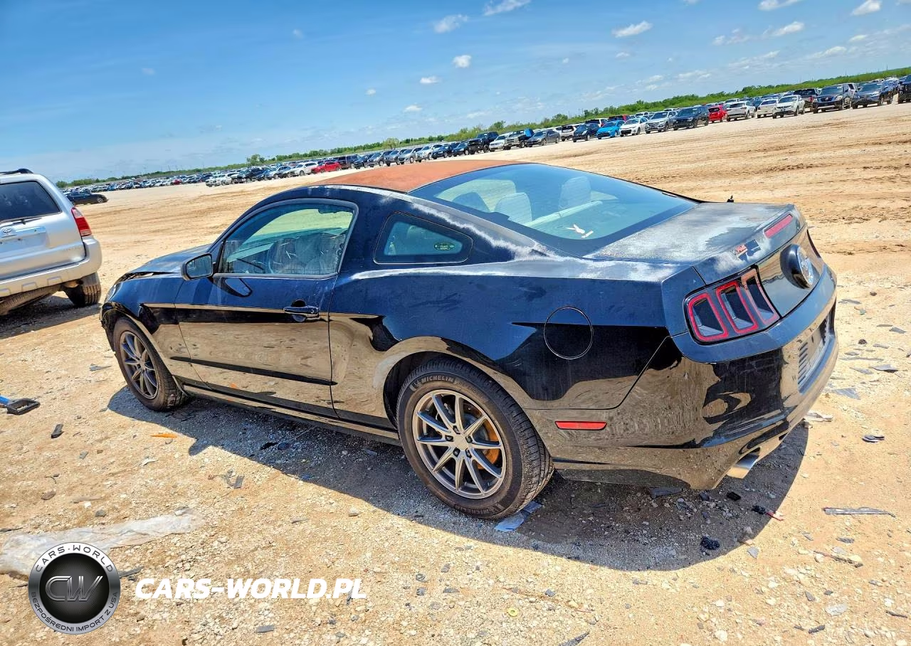 2014 Ford Mustang VIN:1ZVBP8AM3E5332784 - 2