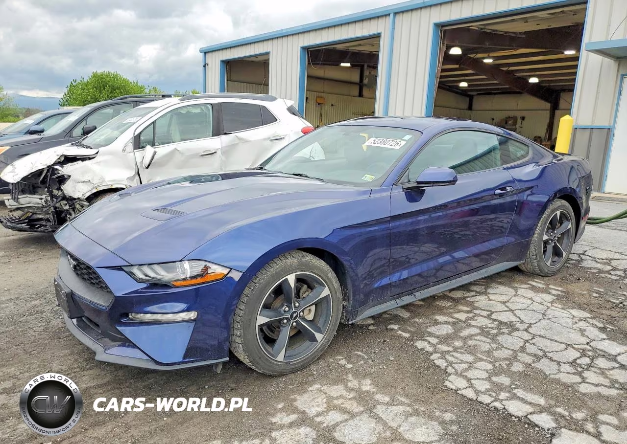 2019 Ford Mustang