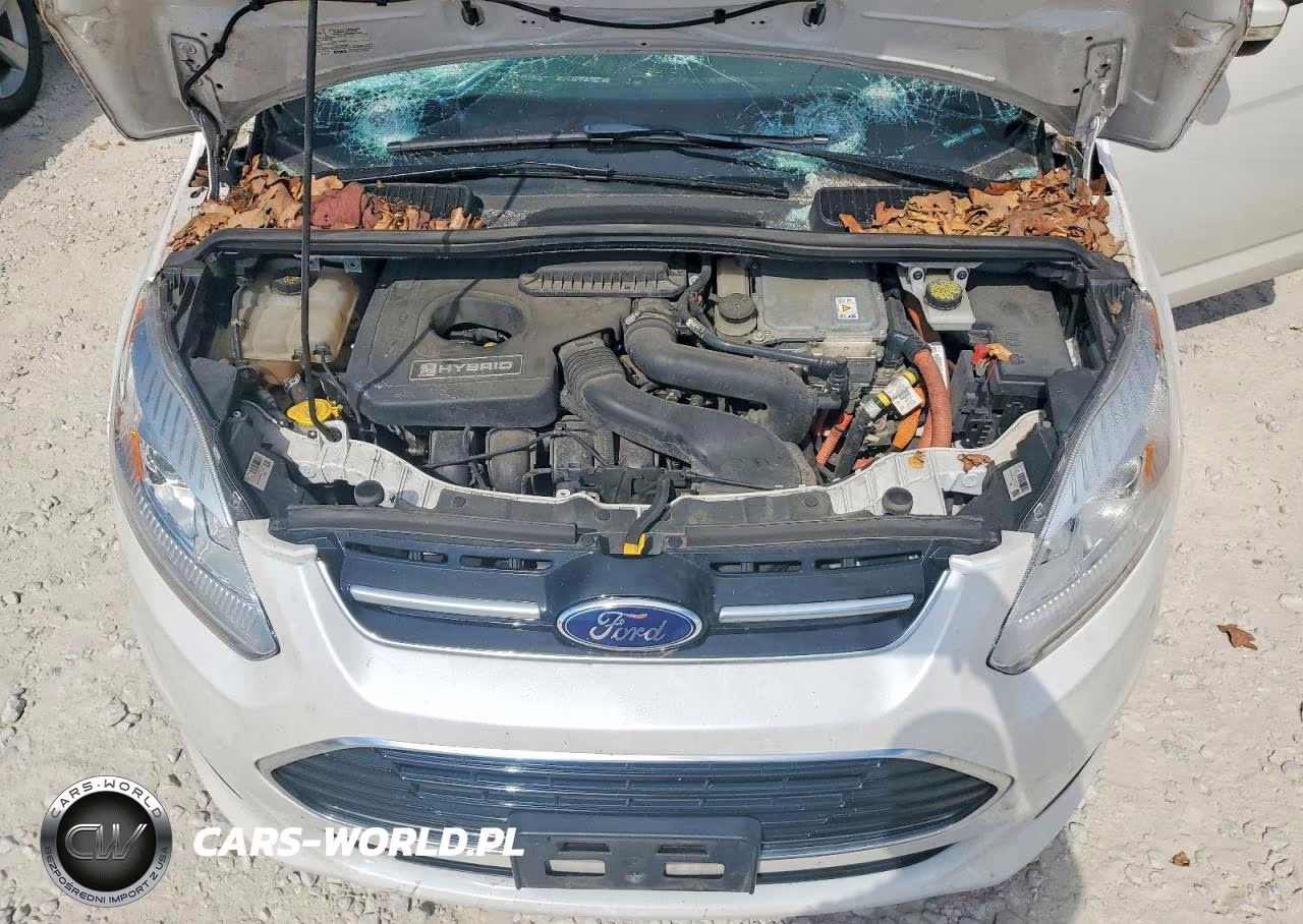 2017 Ford C-Max Se VIN:1FADP5AU5HL107055 - 12