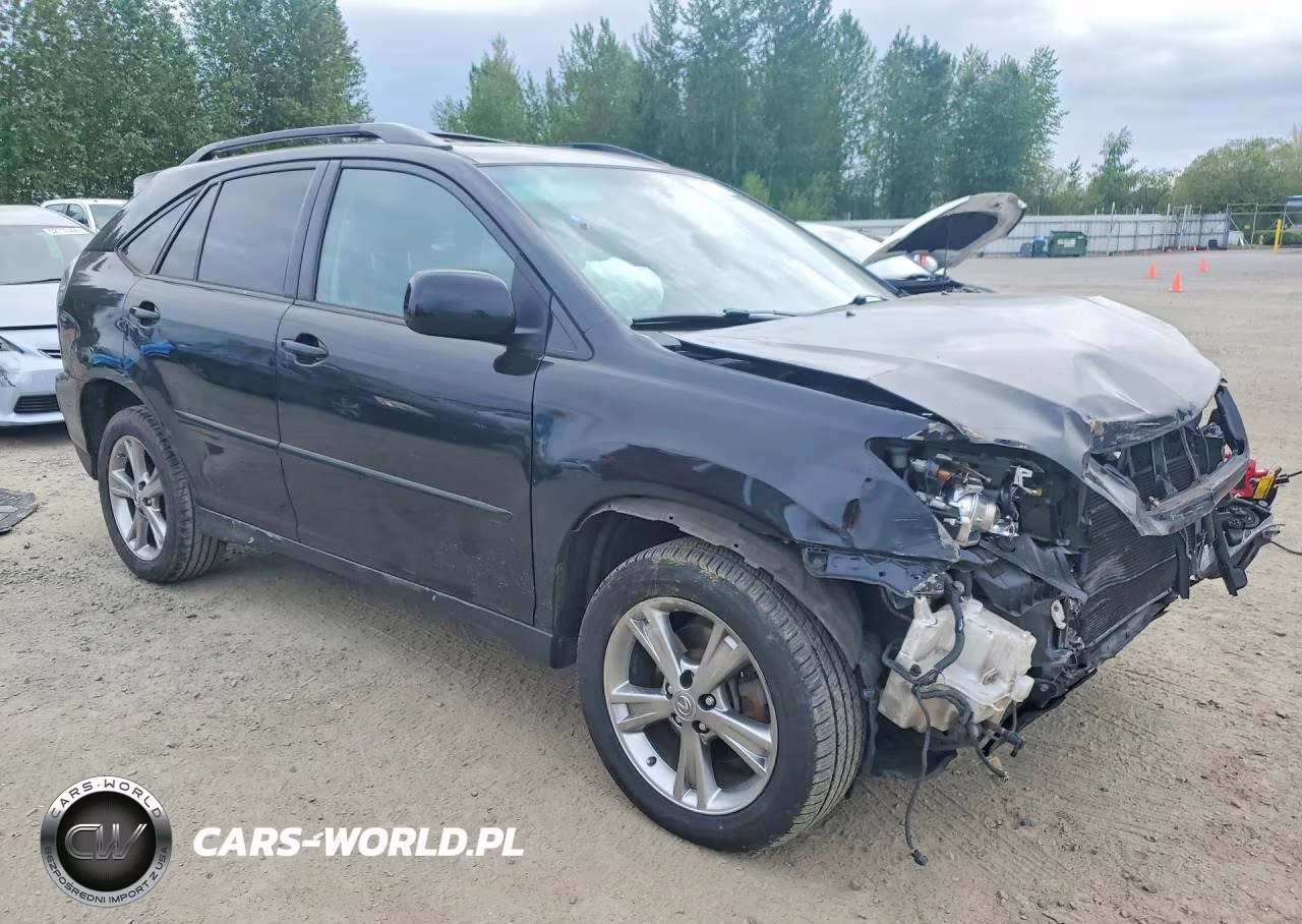 2006 Lexus Rx 400 VIN:JTJGW31U760002401 - 4