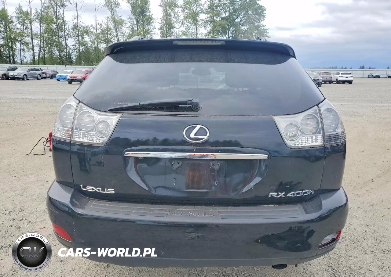 2006 Lexus Rx 400 VIN:JTJGW31U760002401 - 6