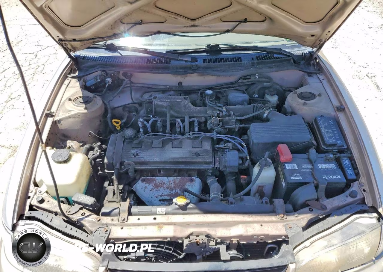 1997 Geo Prizm Base VIN:1Y1SK5265VZ452610 - 11