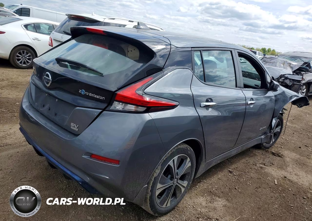 2019 Nissan Leaf Sv Plus VIN:1N4BZ1CP8KC320395 - 3