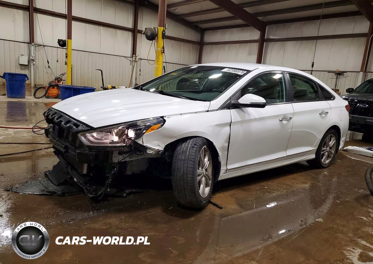 2019 Hyundai Sonata Sel