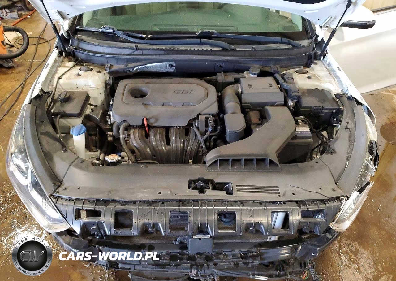 2019 Hyundai Sonata Sel VIN:5NPE34AF5KH731231 - 11