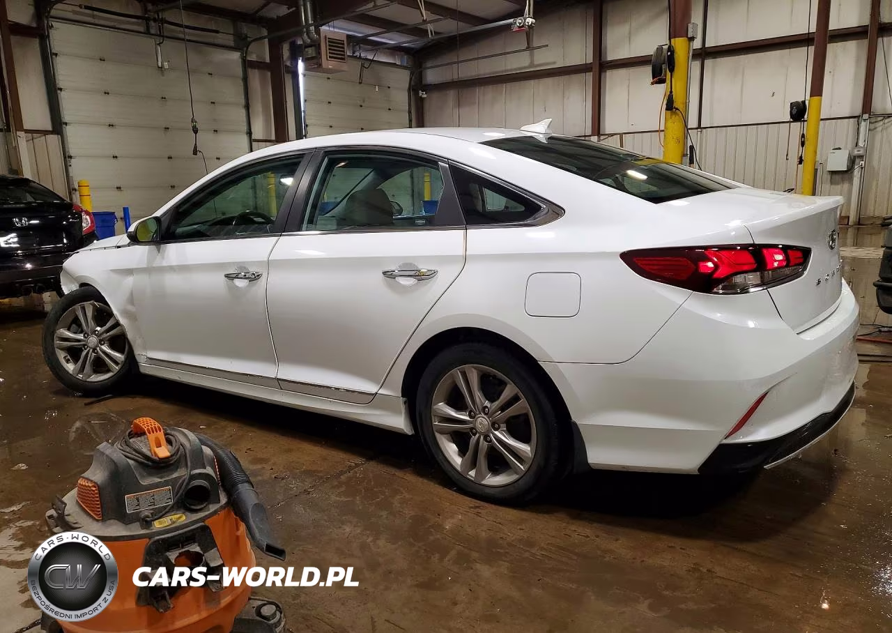 2019 Hyundai Sonata Sel VIN:5NPE34AF5KH731231 - 2