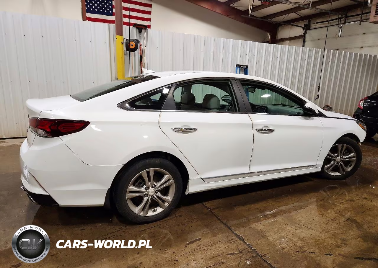 2019 Hyundai Sonata Sel VIN:5NPE34AF5KH731231 - 3
