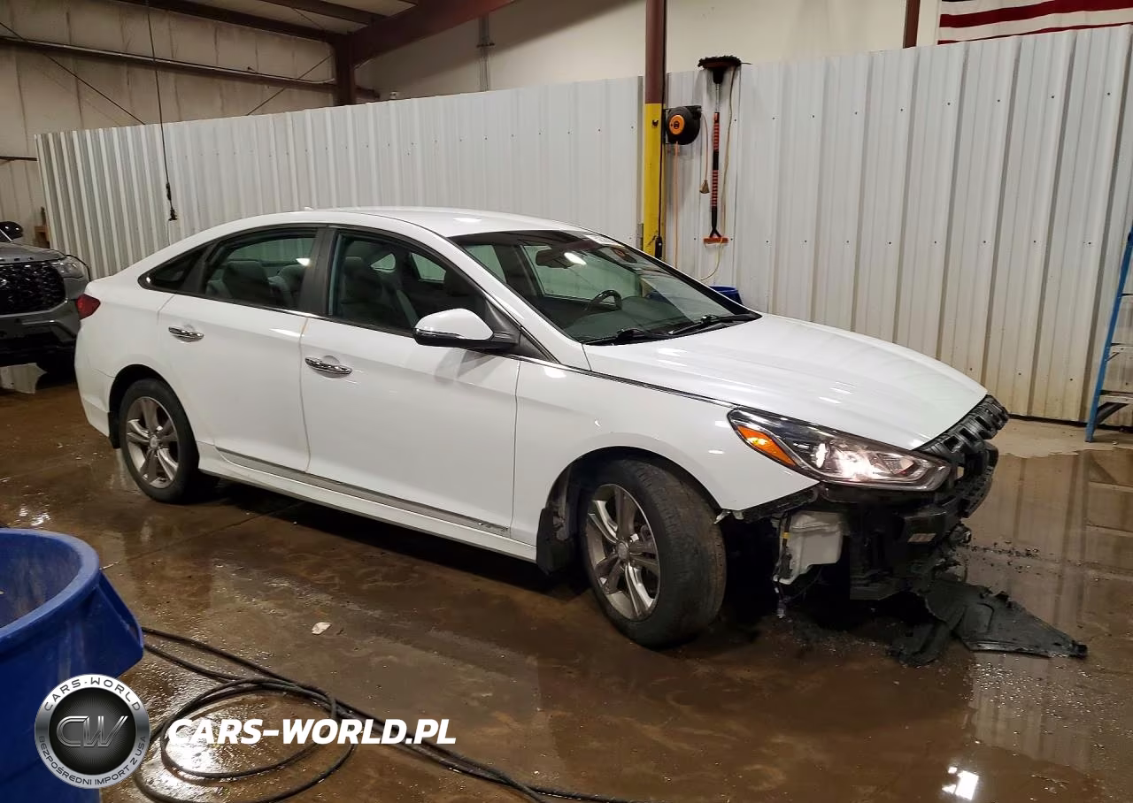 2019 Hyundai Sonata Sel VIN:5NPE34AF5KH731231 - 4