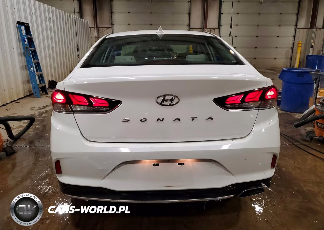2019 Hyundai Sonata Sel VIN:5NPE34AF5KH731231 - 6