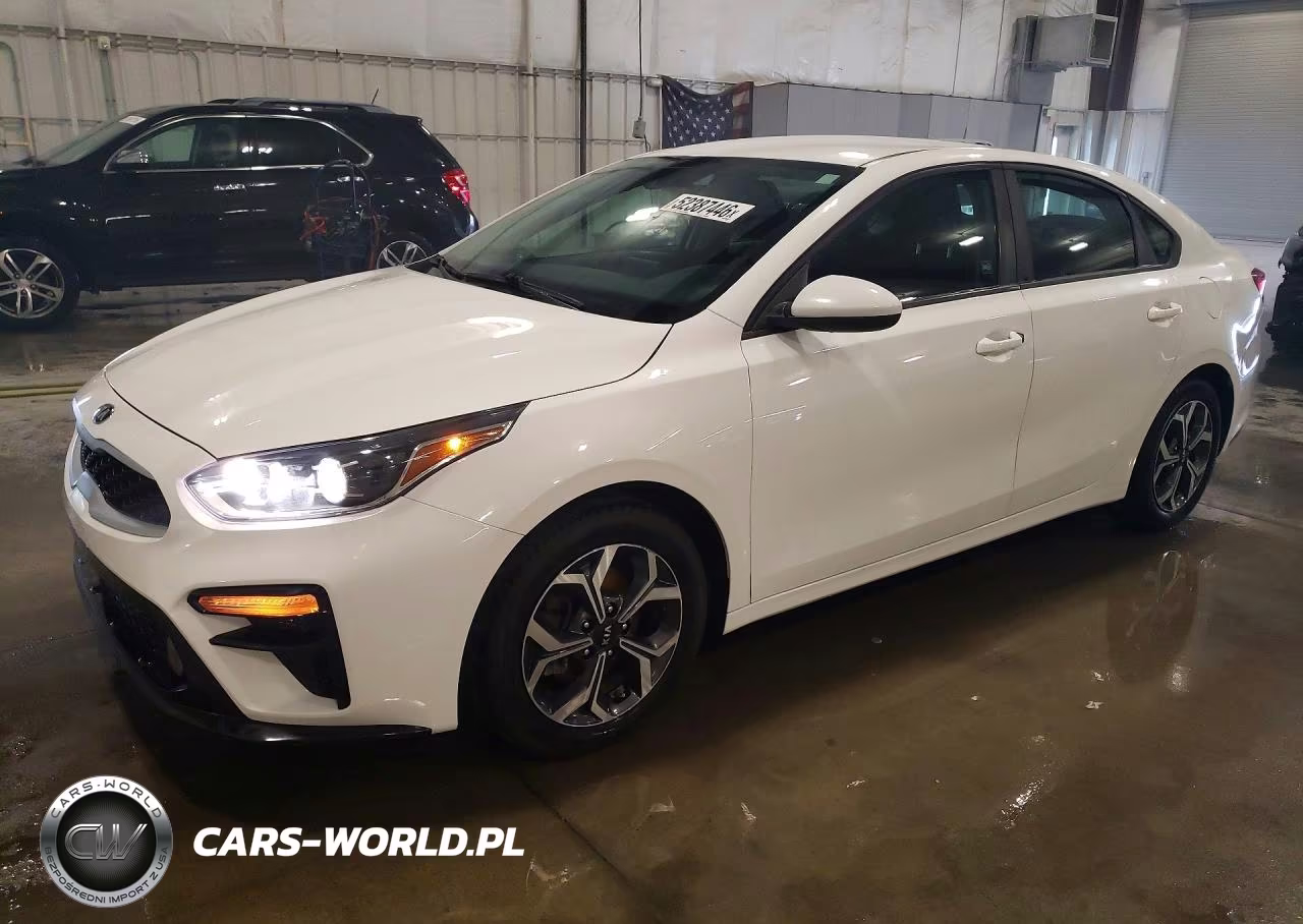 2019 Kia Forte Lxs