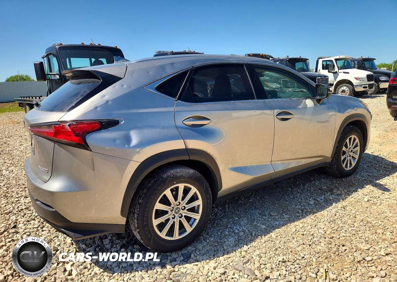 2021 Lexus Nx 300 Base VIN:JTJDARDZ2M2236460 - 3