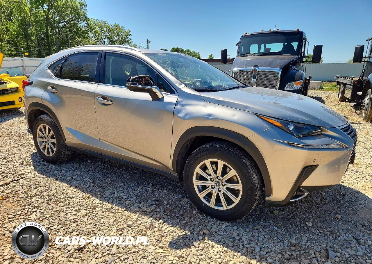 2021 Lexus Nx 300 Base VIN:JTJDARDZ2M2236460 - 4
