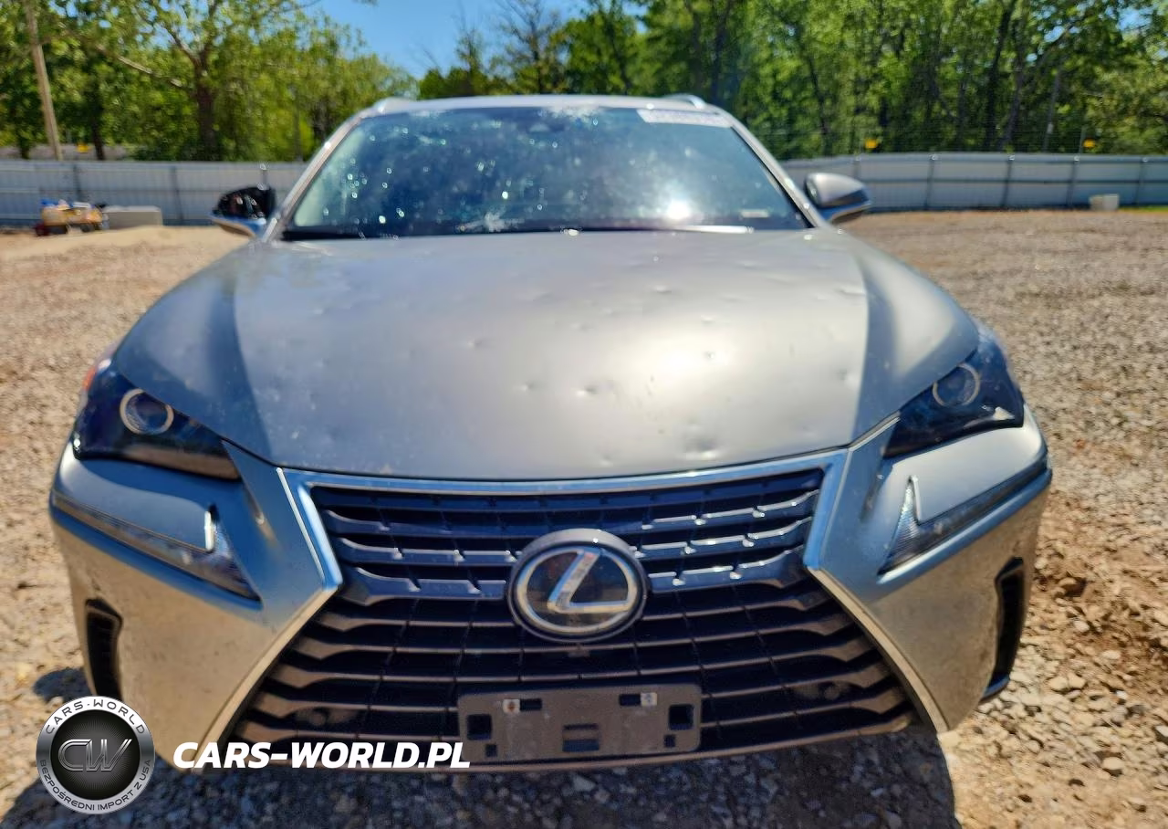 2021 Lexus Nx 300 Base VIN:JTJDARDZ2M2236460 - 5