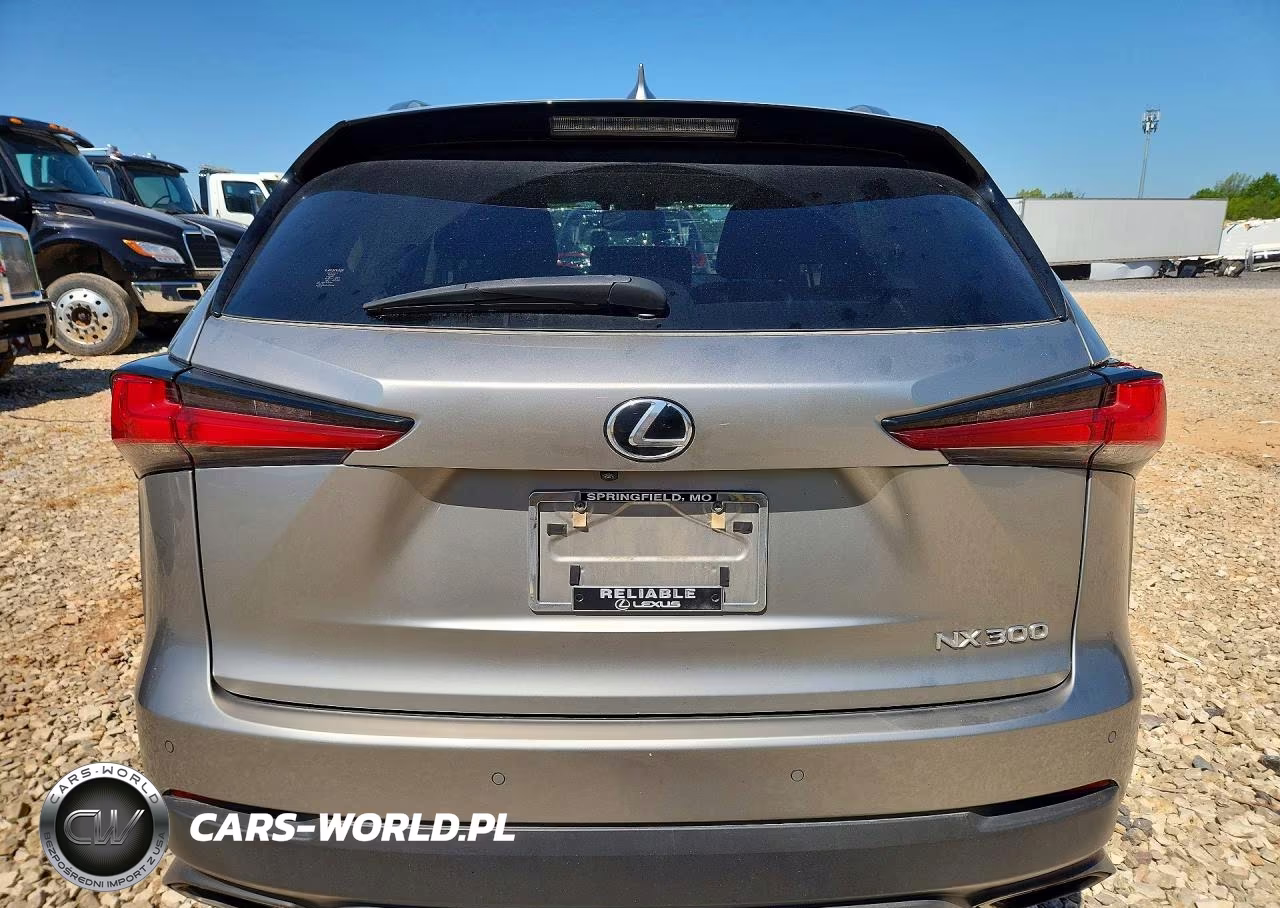 2021 Lexus Nx 300 Base VIN:JTJDARDZ2M2236460 - 6