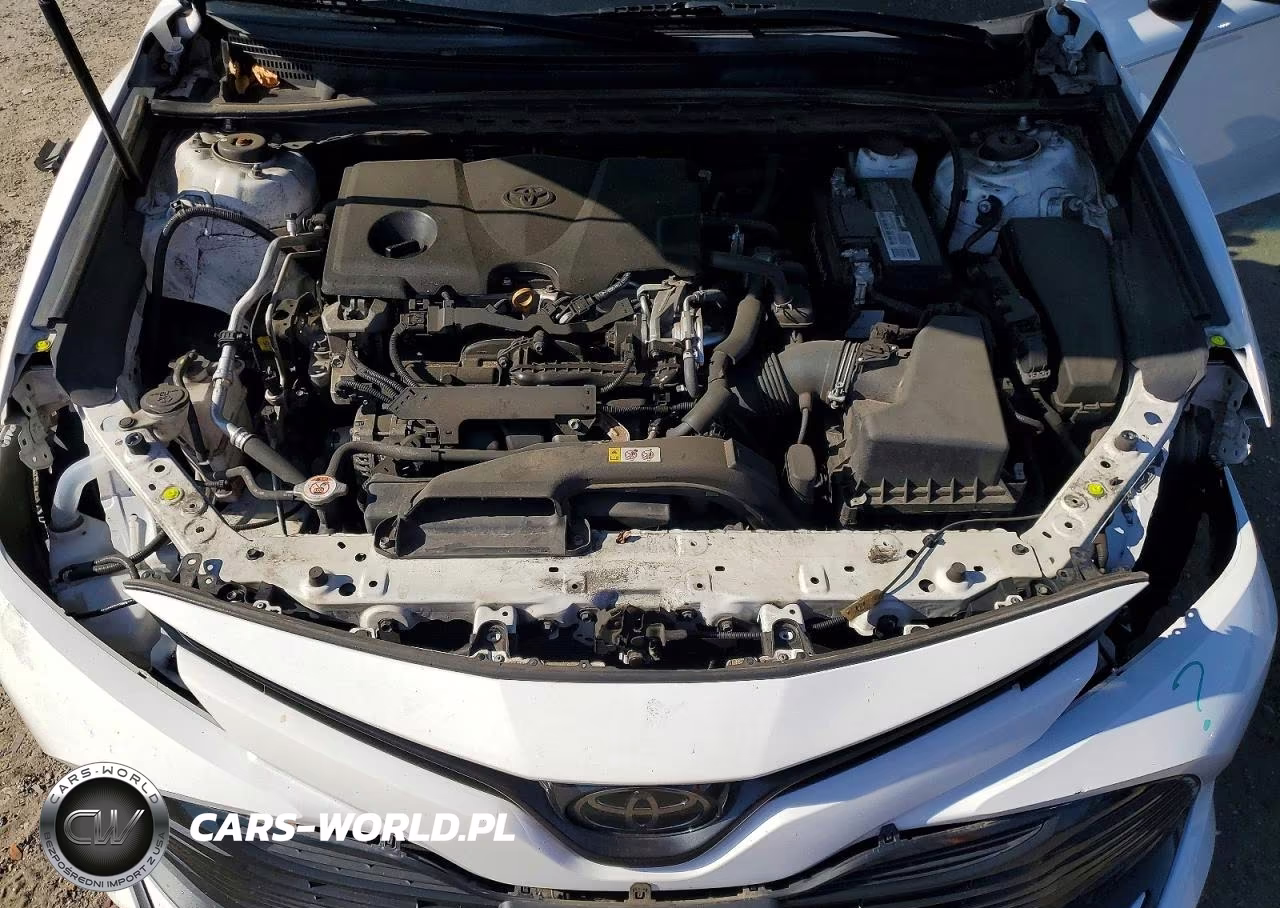 2020 Toyota Camry Le VIN:4T1C11AK8LU911766 - 11