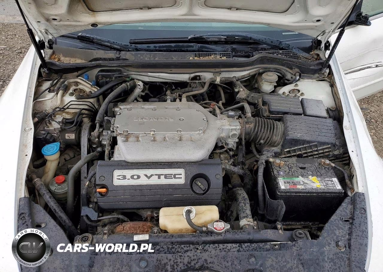 2004 Honda Accord Ex VIN:1HGCM66504A044878 - 11