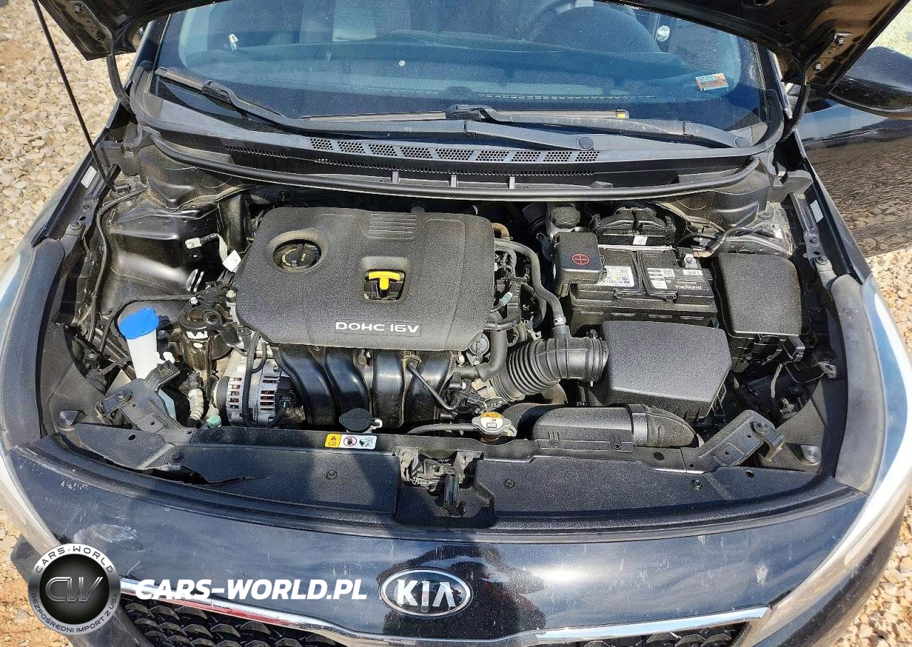 2017 Kia Forte Lx VIN:3KPFL4A77HE045363 - 11