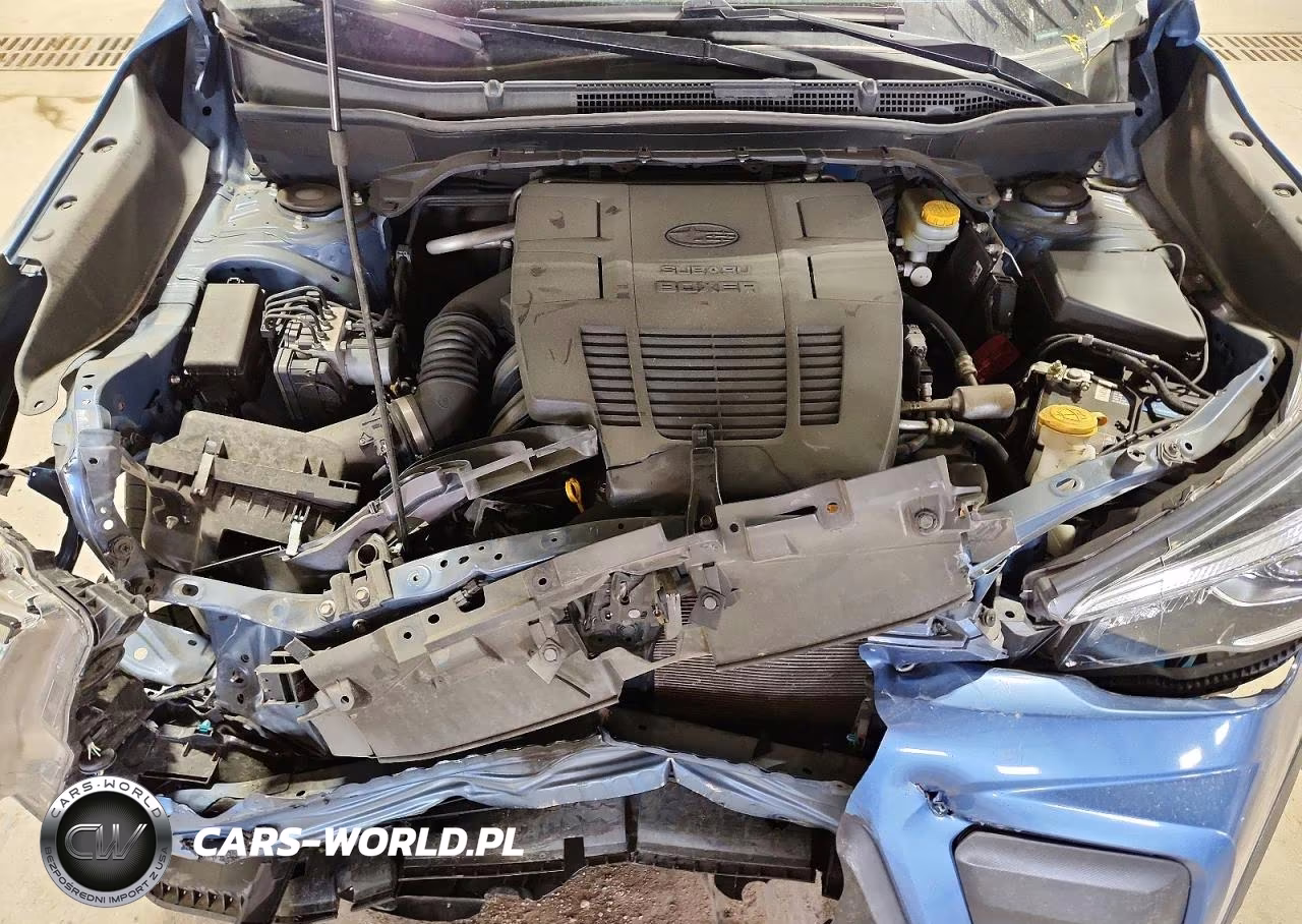2019 Subaru Forester Premium VIN:JF2SKAGC6KH406914 - 12