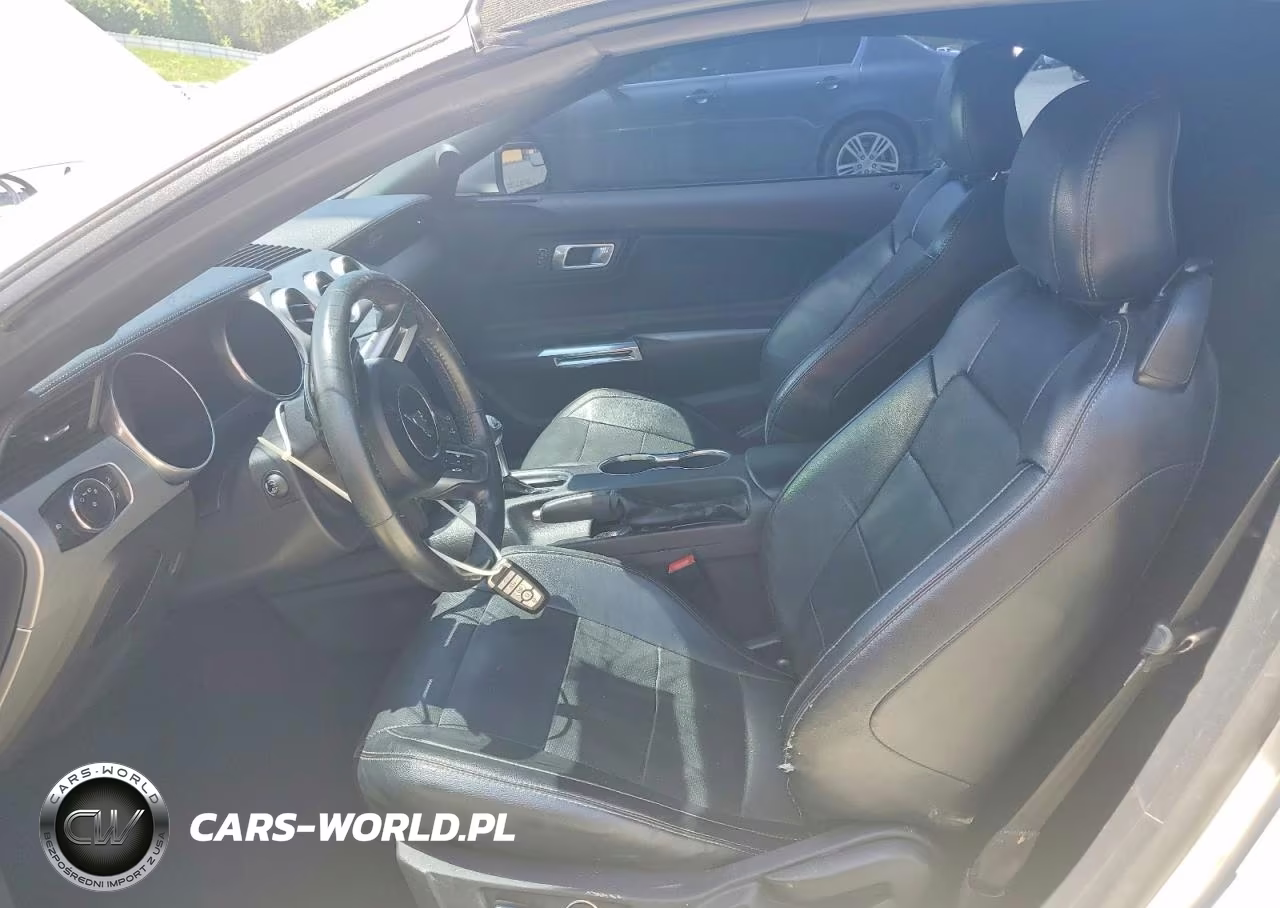 2019 Ford Mustang Gt VIN:1FATP8FF0K5179512 - 7