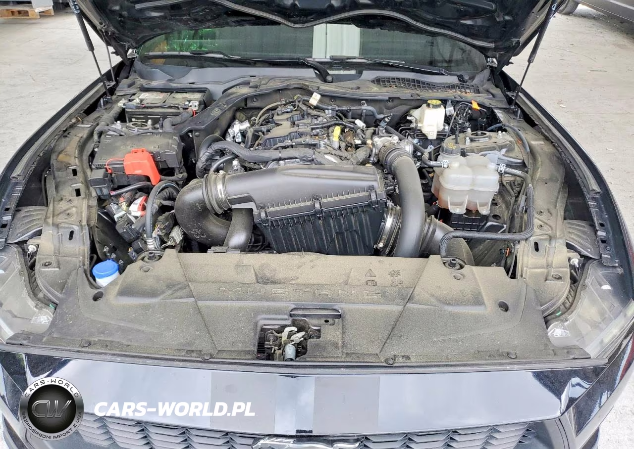 2024 Ford Mustang VIN:1FA6P8TH9R5121105 - 11