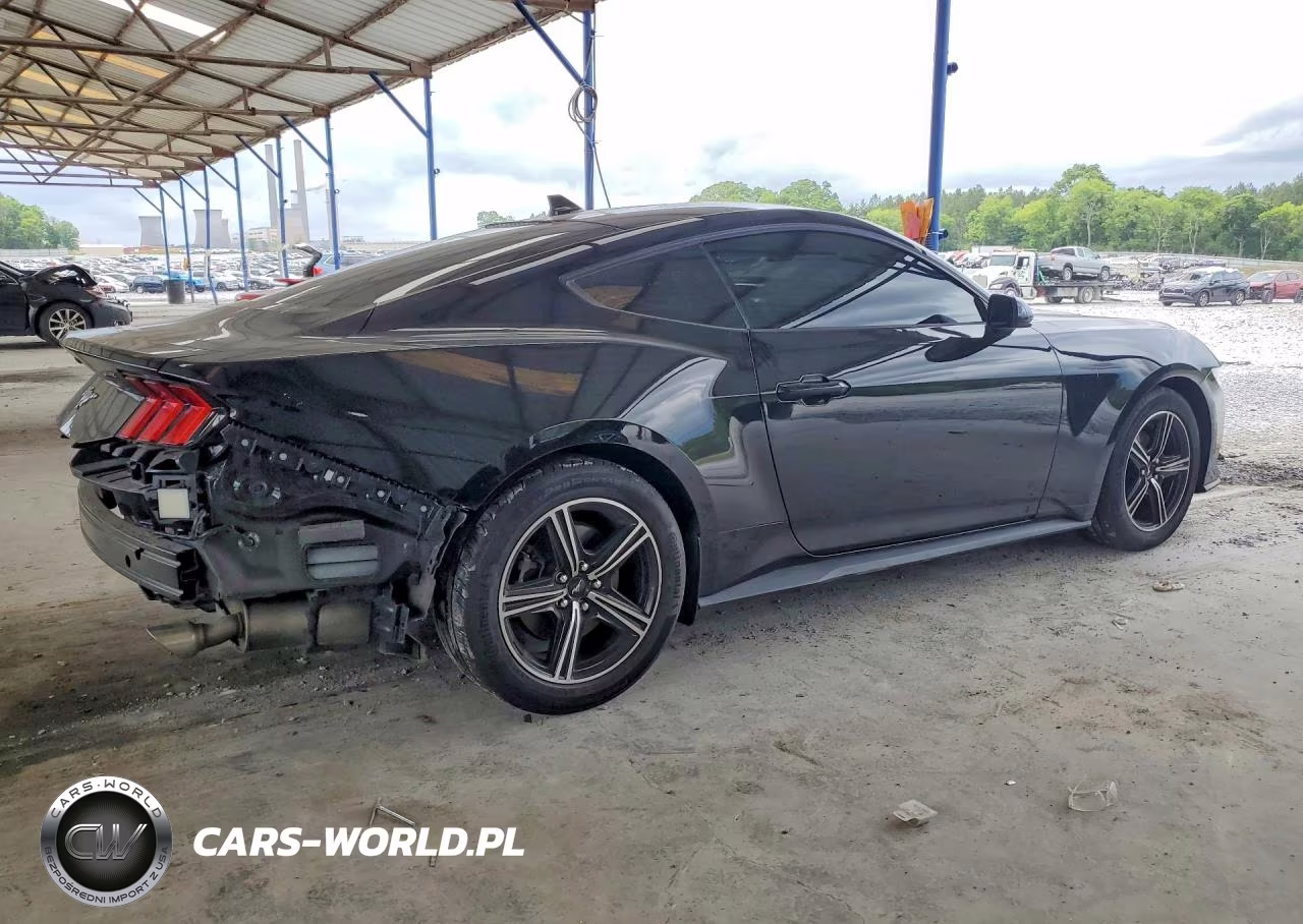 2024 Ford Mustang VIN:1FA6P8TH9R5121105 - 3