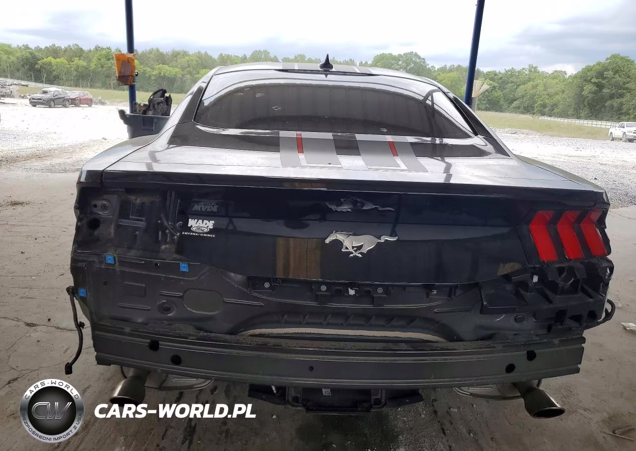 2024 Ford Mustang VIN:1FA6P8TH9R5121105 - 6