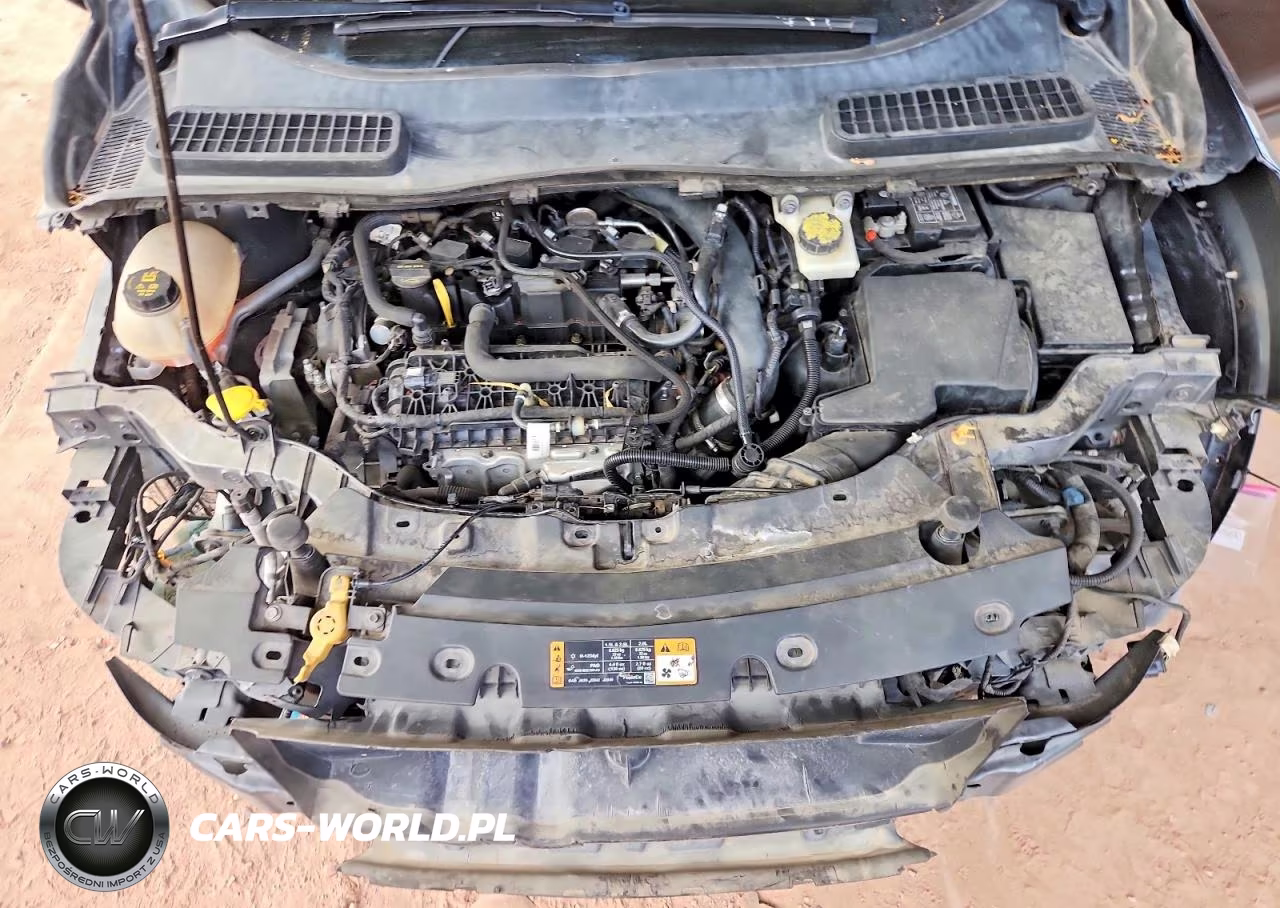 2019 Ford Escape Sel VIN:1FMCU9HD1KUC14340 - 12