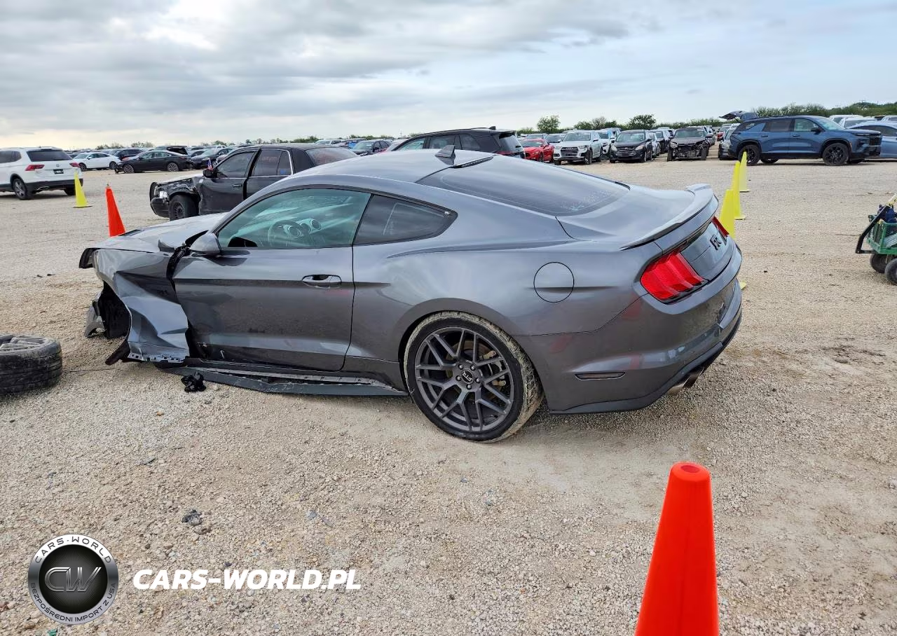2021 Ford Mustang Gt VIN:1FA6P8CF1M5141971 - 2