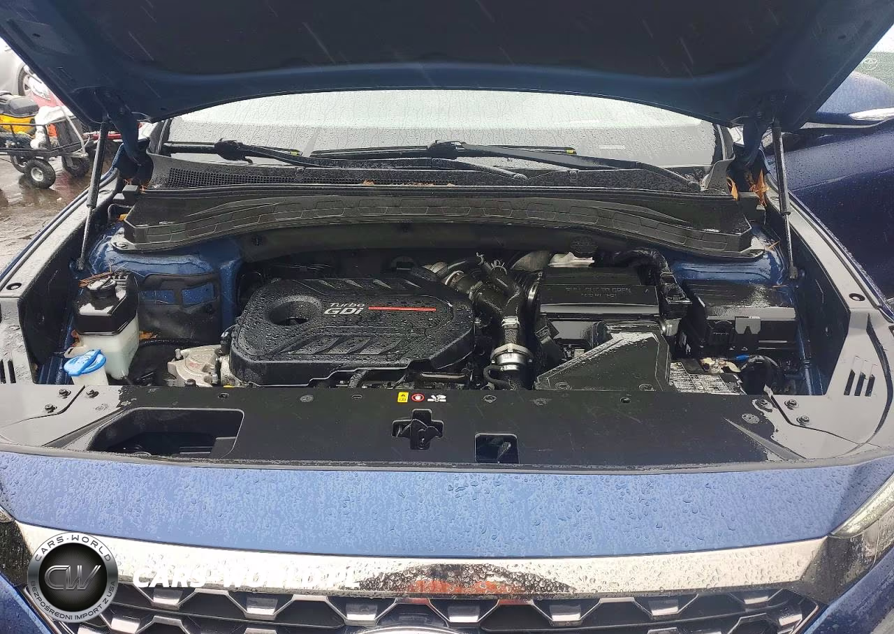 2020 Hyundai Santa Fe Limited 2.0T VIN:5NMS5CAA1LH225552 - 12