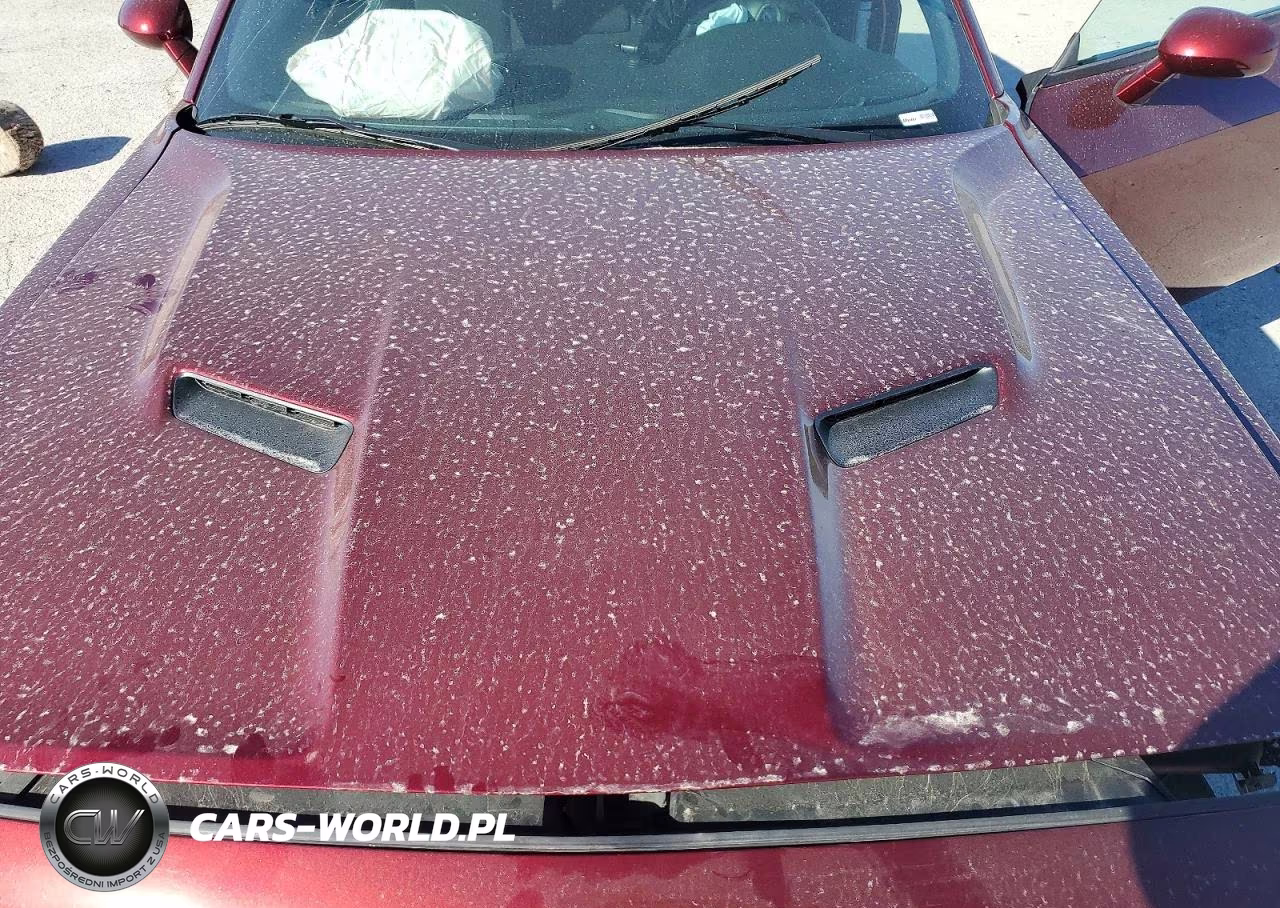 2021 Dodge Challenger Sxt VIN:2C3CDZGG6MH611262 - 11